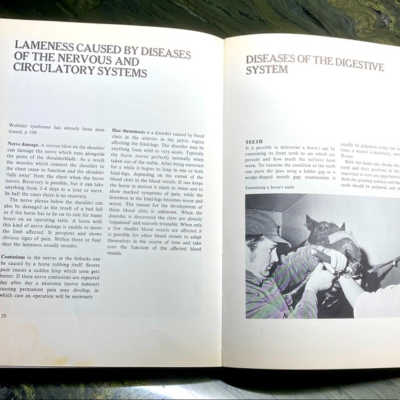 Healthy Horse Handbook Illustrated Hardcover Educational Academia - Picture 12 of 16